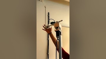 Swing up and stabilization of a Furuta pendulum.