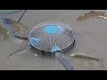 How To Make Fish Trap From PVC Water Pipe And Electric Fan Guard