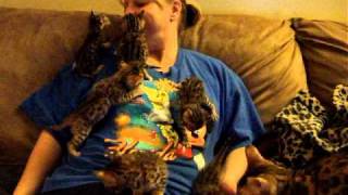 2011-04-15 001 005.AVI