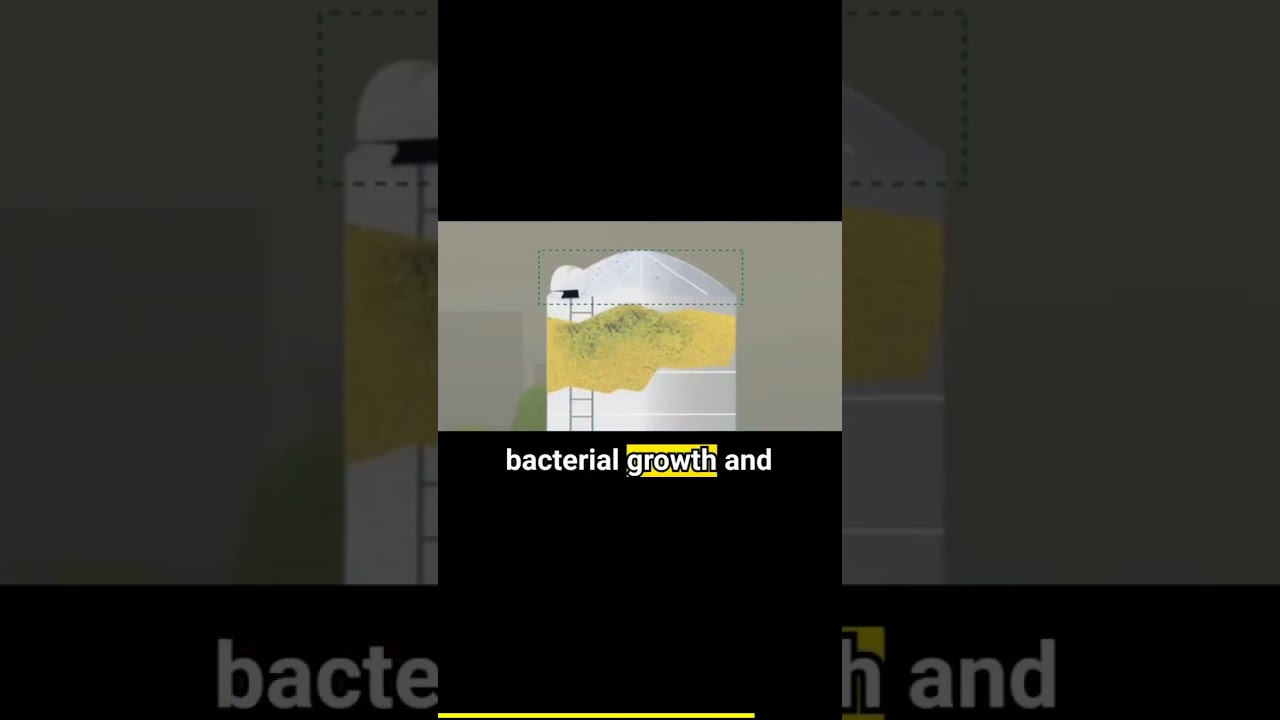 Say Goodbye to Moisture Damage! Protect Your Grain Storage Silos with DST Industrial Dehumidifiers