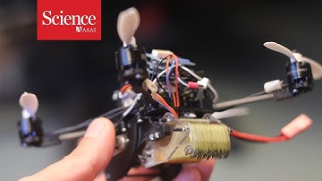 This tiny wasp-inspired drone can pull 40 times its own weight