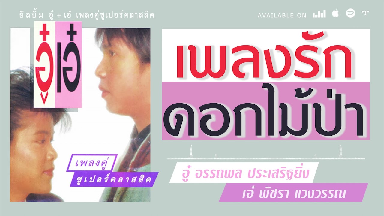 เพลงรักดอกไม้ป่า - อู๋ อรรถพล ประเสริฐยิ่ง+เอ๋ พัชรา แวงวรรณ [ Official Audio ]