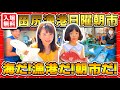 【大阪・田尻漁港】朝昼晩のお魚Get、予算は1万円以内!田尻漁港の朝市に出発だ! #田尻漁港 #魚市場 #漁港 #朝市 #日曜朝市 #おでかけ
