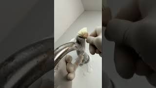 Kitchen Faucet Transformation | Pure ASMR Clean ✨