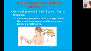 Ch 28 Head and Spinal Injuries