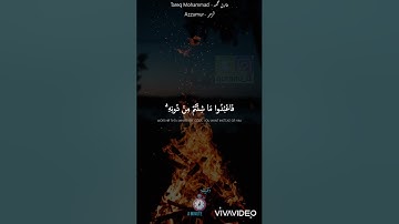 القارئ طارق محمد/سورة الزمر/♥♥