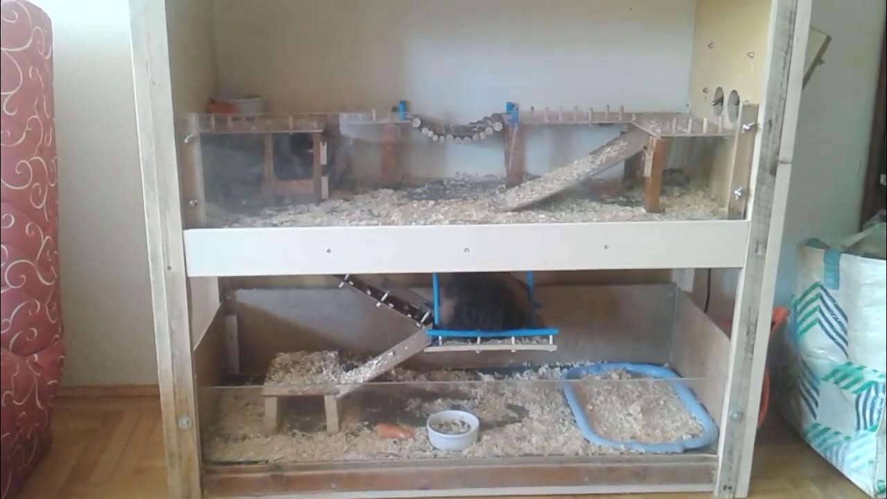 Homemade Guinea Pig house Design 2 floors (final work) YouTube