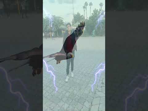 يا عمري ليه يا عمري ليه بس بتجري بيا 