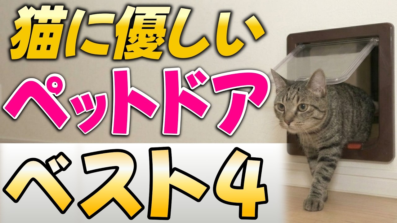 【工事不要】リフォームのプロが激推しするペットドア4選!売れ筋から網戸用まで!?