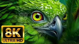 Animals: Earth Relaxation Film 8K (60FPS) ULTRA HD - With Nature Sounds Colorfully Dynamic