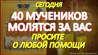 Просите сегодня о любой помощи. 40 Севастийских мучеников молятся за Вас