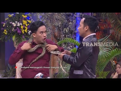 Luar Biasa! Anwar Sudah BERANI Megang Ular | OPERA VAN JAVA (11/02/20) Part 1