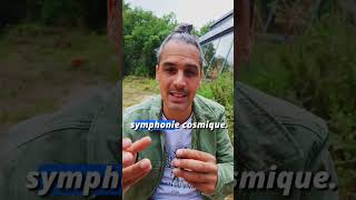 Comment Pythagore A Uni Musique, Égypte Et Cosmos Lharmonie Des Sphères...