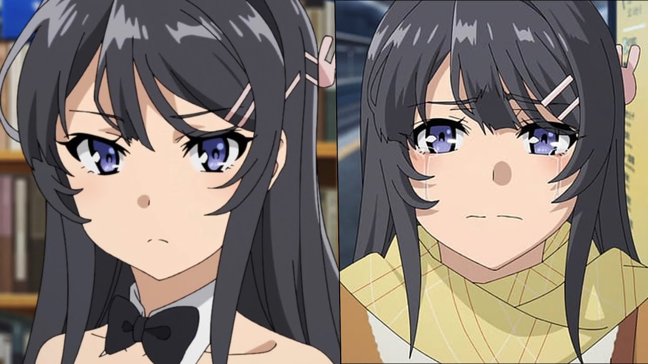 🔶CONFIRMAN LA 2 TEMPORADA DE SEISHUN BUTA YAROU WA BUNNY GIRL SENPAI NO  YUME WO MINAI 