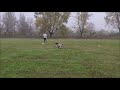 FrisbeeМанія2019   Татьяна курцхаар Джек