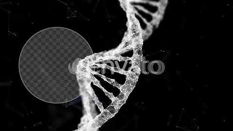 Plexus DNA Code | Videohive | Preview video