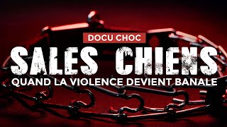 DOCU CHOC  SALES CHIENS : Quand la violence devient banale !