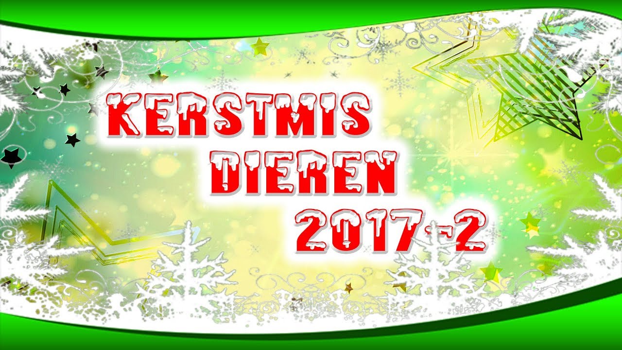 Christmas Animals !!! YouTube