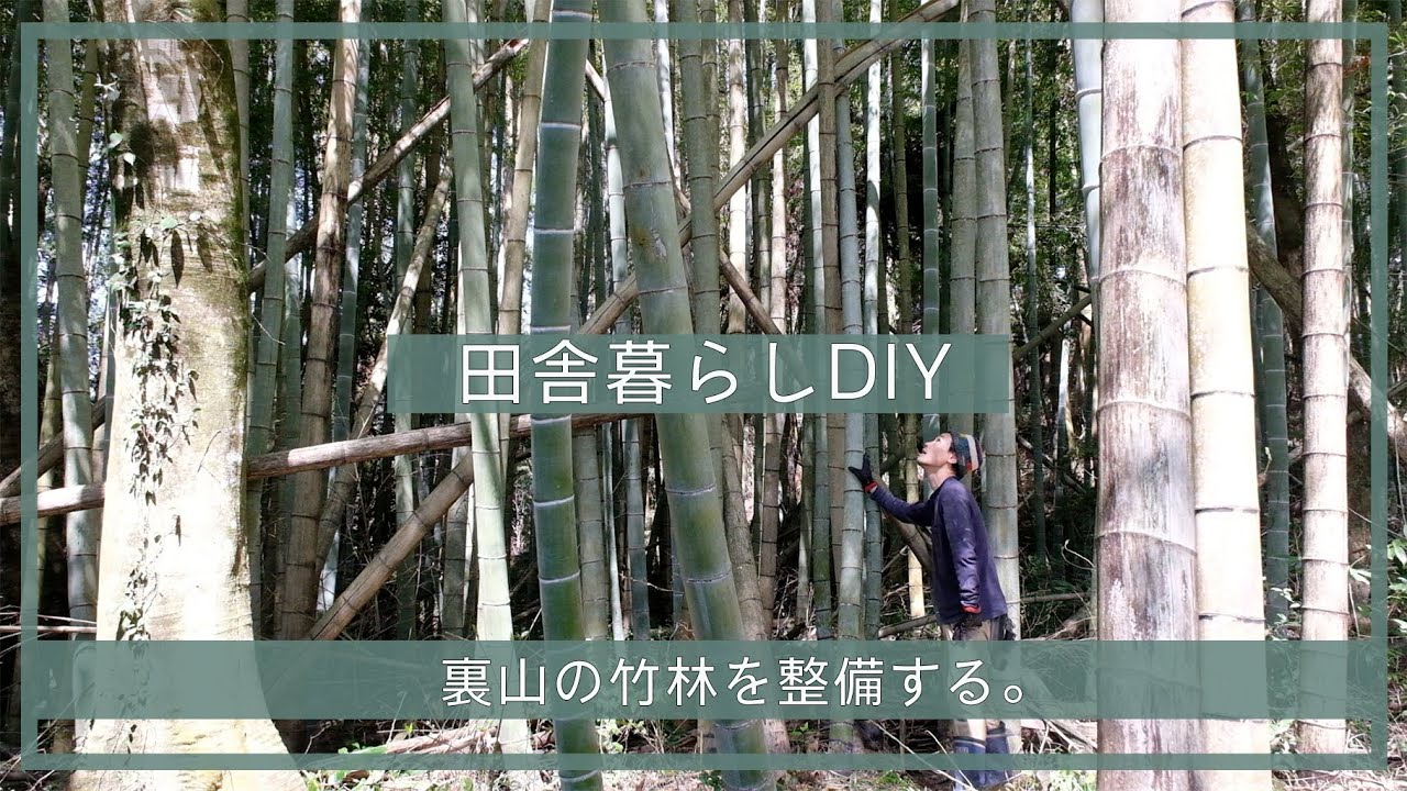 【夫婦で田舎移住生活】裏山の竹林を整備する。| 田舎暮らしDIY | 空き家セルフリノベーション | 宮崎 | えびの