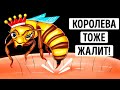 Правда ли, что укус пчелиной матки опаснее укуса обычной пчелы? (Мы все выяснили)