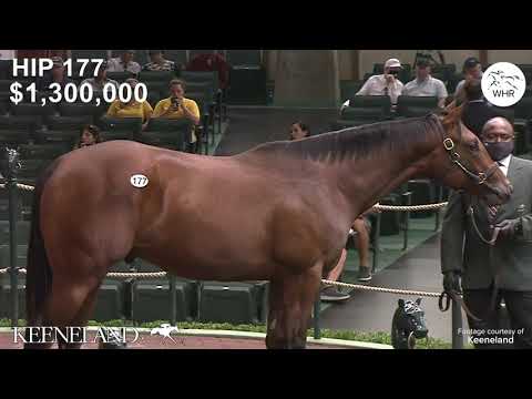 MOST EXPENSIVE YEARLINGS |  WEEK 1 OF THE KEENELAND YEARLING SALE