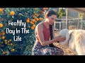 MY VISIT TO AN ORGANIC FARM!! Ab workout, Juicing and Sow a Heart Farm