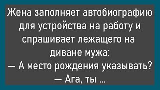 🔥Абрам И Сара Едут В Автомобиле...Большой Сборник Смешных Анекдотов,Для Супер Настроения!