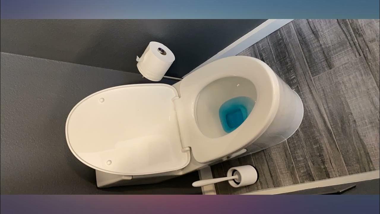 WOODBRIDGE T0019CH TOILET, WIth Chrome Button review YouTube