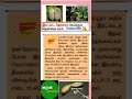 மிகப் பெரிய விதை #gk #உங்களுக்குதெரியுமா #tntet #tnsurb_si  #schoolbook #coconut #pgtrb #gk #tnsurb