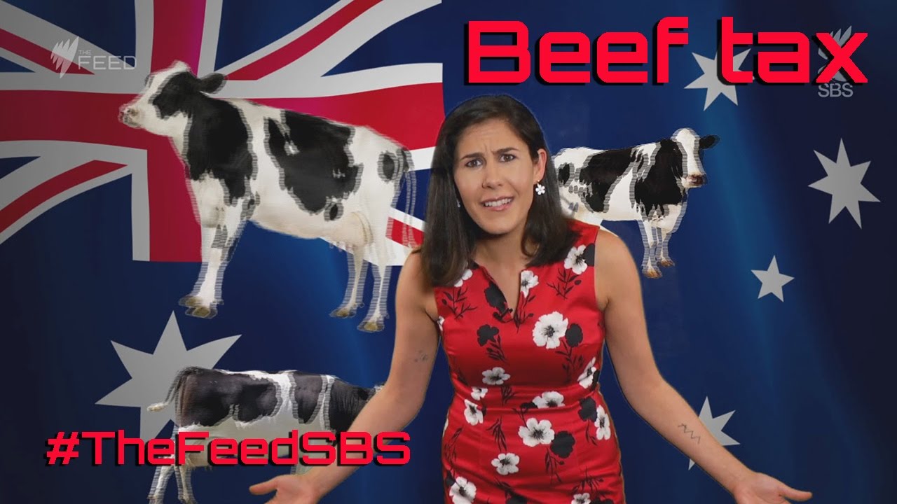 climate change projections Beef tax - The Feed