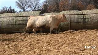 Lot 62 Sm Ms Smokester Y150 P