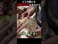 どこの国にも過剰包装はあるけど
