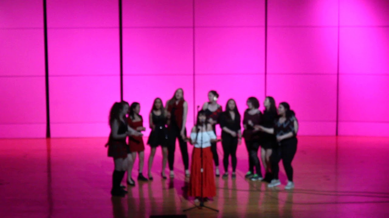 Night Owls | Pulso Latino Showcase 2019