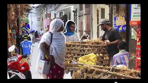 Intro to Mojaloop to the Mifos Community