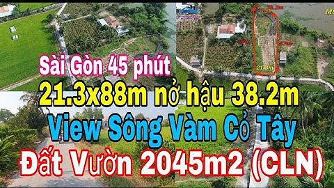 Nhà vườn Long An | Đất view Sông Vàm Cỏ Tây | Đất xây nhà vườn ven sông mát mẻ
