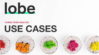 Lobe.ai - Use cases that the product addresses