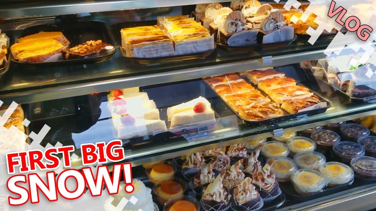 Tiny Tank, Tree Trimming And Snow Shovelling! (Vlog Thing) toronto raptors vs milwaukee bucks