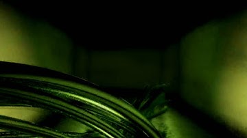 After Effects VideoCopilot 3D Vines