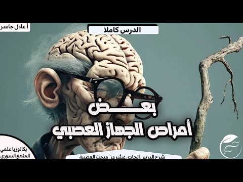 شرح الدرس الحادي عشر عصبية أمراض الجهاز العصبي نهاية مبحث العصبية بكالوريا سوريا