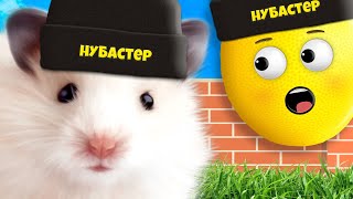 картинка: Я СТАЛ ХОМЯКОМ В РОБЛОКСЕ! Roblox Нубастер
