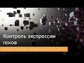 Контроль экспрессии генов (Часть 1/3)