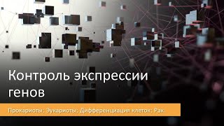 картинка: Контроль экспрессии генов (Часть 1/3)