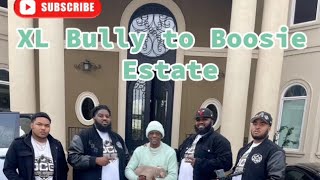 XL BULLY PUP BEING DELIVERED TO BOOSIE BADAZZ!!!!