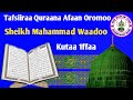 Quraana: Tafsiira Afaan Oromoo || Sheikh Mahammad Waadoo || Darsi 1ffaa