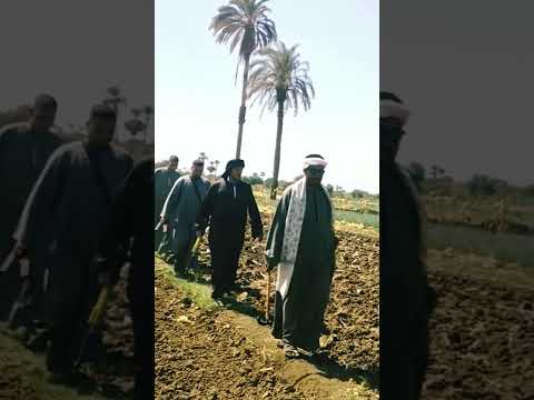 اصحي لينا علشان حضرنا 