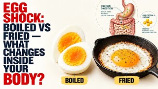 Scientists Cooked The Same Egg 2 Ways — What They Found Will Shock You Update