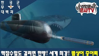 [한국군무기대백과] 걸리면 간다! '범상어' 중어뢰