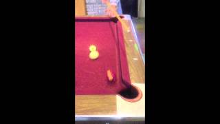 Oregon State University Callahan Dorm Pool Compilation