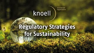Meet your sustainability goals with knoell