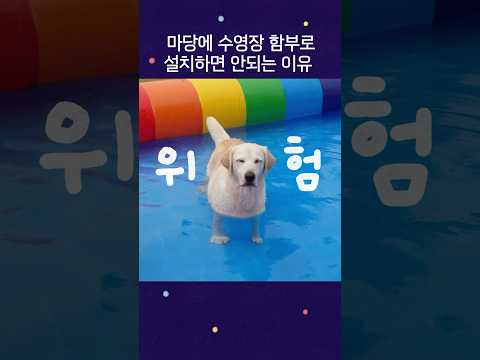 <strong>마당에</strong> 수영장 함부로 설치하면 안되는 이유